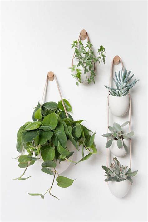 22 Creative Hanging Plants Ideas To Beauty Your Home Homemypedia