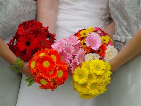 file bridal and bridesmaids bouquets