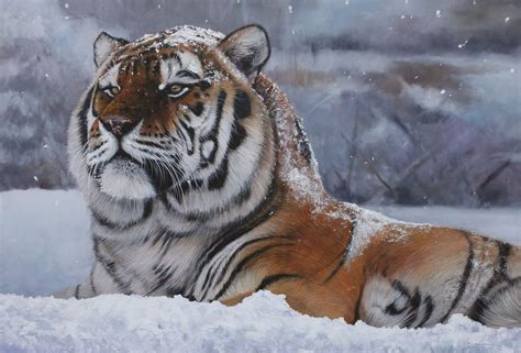Wildlife Artist Pip Mcgarry Roars Into Odiham For Another Sell Out Show