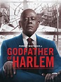 Godfather of Harlem - Rotten Tomatoes