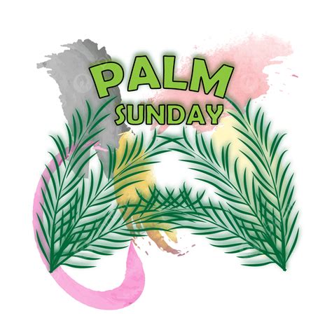 Palm Sunday Vector Hd Images Palm Sunday Transparent Background Palm