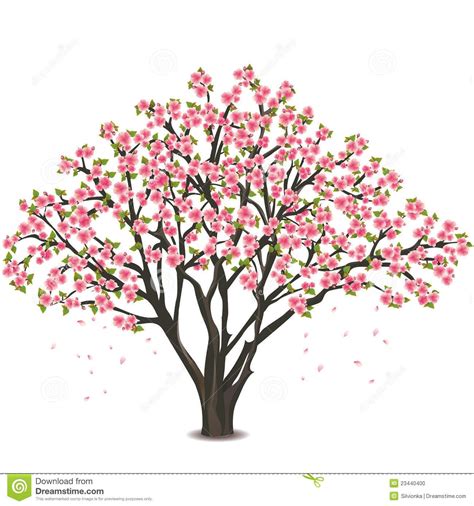 √ Sakura Tree Sketch