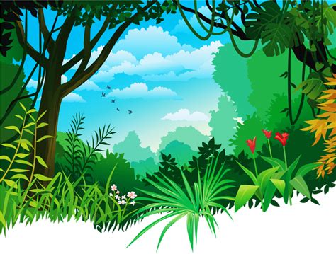 Cartoon Rainforest Background Cartoon Jungles Bodaypwasuya