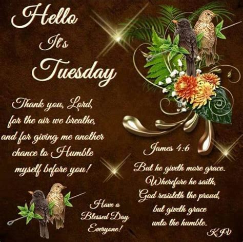 Hello Its Tuesday Happy Tuesday Images Tuesday Greetings Blessed Week