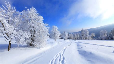 Online Screensaver Winter Wallpapers Wallpaper Cave