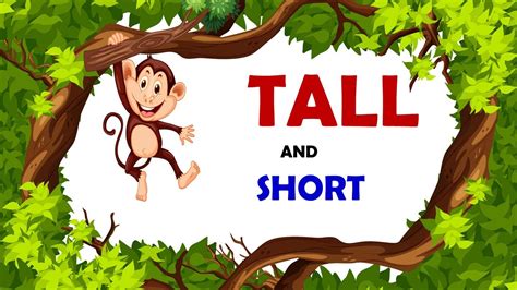 Tall And Short Comparison For Kids Learn Pre Number Concepts Youtube