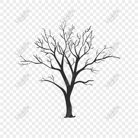 Gambar Ranting Pohon Kering Hitam Putih Gambar Bagian Tumbuhan