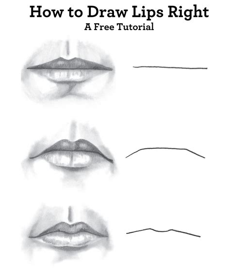 Ultimate, FREE Guide to Drawing Faces | Lips drawing, Face drawing, Portrait drawing