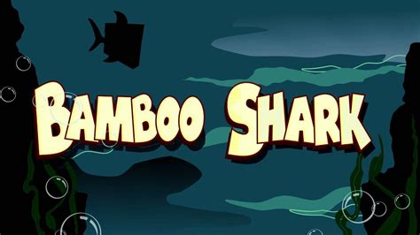 Bamboo Shark Animated Title Sequence Youtube