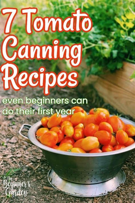 Preserving Tomatoes Making The Most Of Your Harvest The Beginners