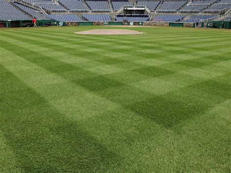 The Grass Is Always Greener At The Baseball Field Wunc