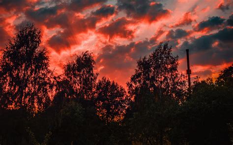 Download Wallpaper 3840x2400 Trees Sunset Sky Clouds Autumn