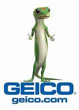 Geico Camera Insurance Pictures