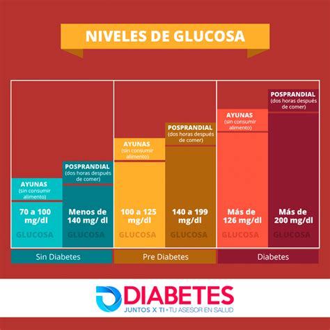 Descubre Cu Les Son Los Niveles Ptimos De Glucosa En Tu Cuerpo