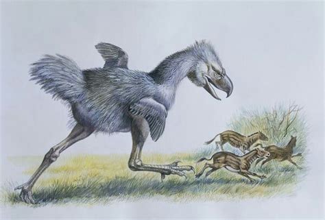 Phorusrhacos Chasing A Group Of Hyracotherium This Early Ancestor Of