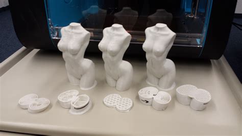 women body 3d print test objects printed with robox desktop 3d printer dual nozzle 3d