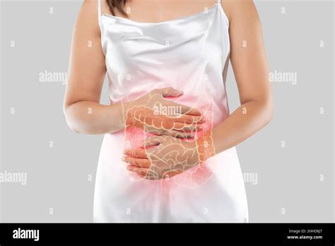 The Photo Of Large Intestine Is On The Womans Body Isolate On White