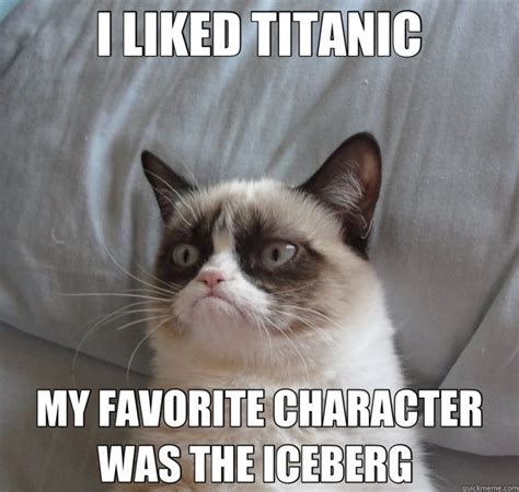 107 Best I Hate It Grumpy Cat Images On Pinterest