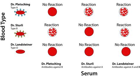 Who Came Up With Blood Types And What Do They Mean The Dish On Science