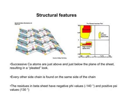 Structural Features Su