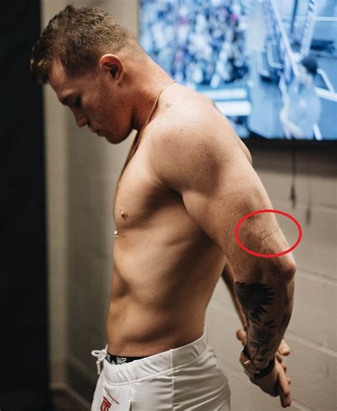 Последние твиты от canelo alvarez (@canelo). Canelo Tattoos / Canelo Alvarez S 14 Tattoos Their ...