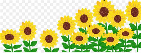  Bunga Matahari Gambar Bunga Animasi - Koleksi Gambar Bunga