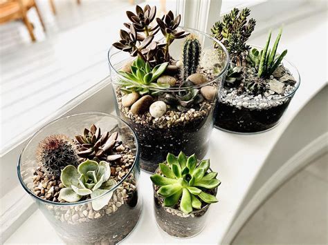10 Terrarium Ideas For A Beautiful Plant Display Real Homes