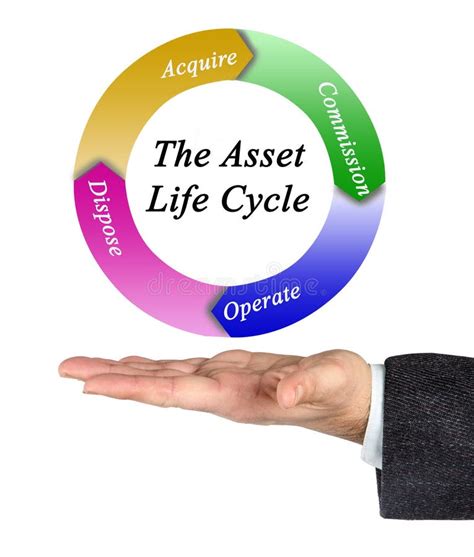 Fixed Asset Life Cycle Activo Fixed Asset Management