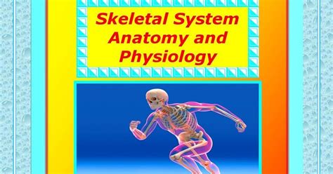 Skeletal System Anatomy Physiology Medical Yukti