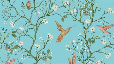 Spring Birds 1080p Wallpapers Wallpaper Cave
