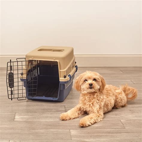 Pet Sentinel Plastic Dog Crate Small 1260l X 1340w X 1970h