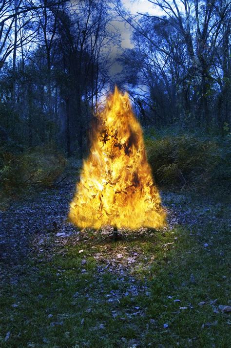 Dublin Fire Brigade Chief Reveals How Quickly A Christmas Tree Can Go