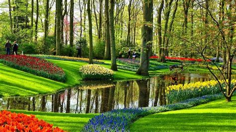 With your very own private. Keukenhof Flower Garden near Amsterdam | Amsterdam.info