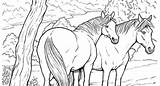 Coloring Herd Horse Wild Horses Designlooter 393px 15kb sketch template