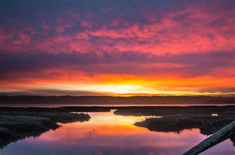 Arcata Bay Fire Sunrise Photograph By Greg Nyquist Pixels