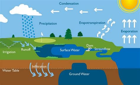 Water Cycle Explanation The Cycle Of Processes By