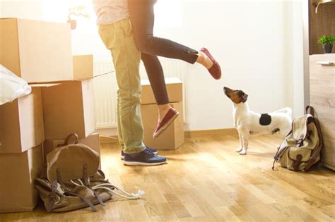 Not all renter's insurance includes liability coverage. Obtaining Pet Liability Coverage Through Renters Insurance - ValuePenguin