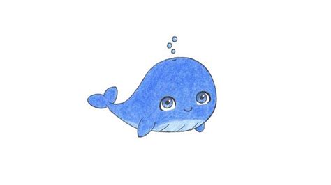 Cartoon Drawing Of Whale