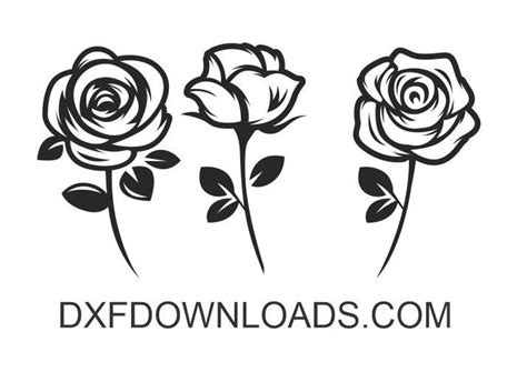 Free Dxf Svg Roses Dxf Downloads Files For Laser Cutting And Cnc