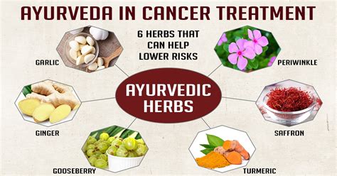 Herbs For Cancer Treatment Cancer Treatment With Ayurvedic Herbs