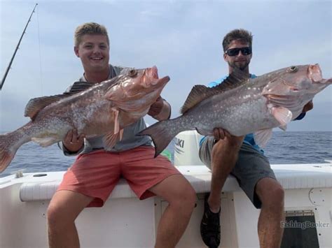 Best Times To Catch Grouper In Florida Complete Guide Freshwater