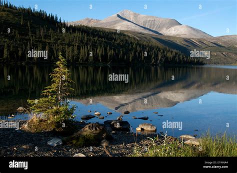 Scene Of Summit Lake Stone Mountain Provincial Park Bc Canada Along