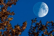Royalty Free Half Moon Pictures, Images and Stock Photos - iStock