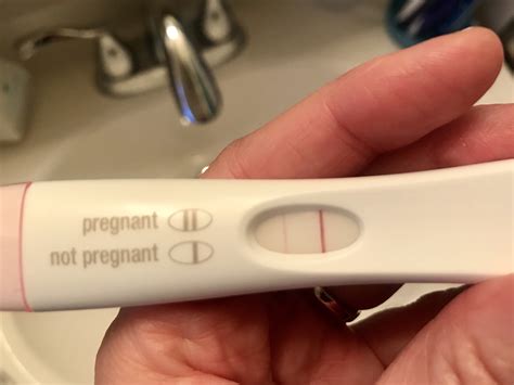 Negative Pregnancy Test 14 Days After Embryo Transfer Pregnancywalls