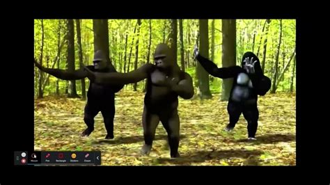 Dancing Gorillas YouTube