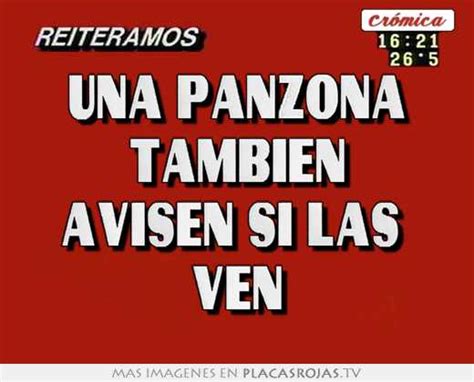 Una Panzona Tambien Avisen Si Las Ven Placas Rojas TV