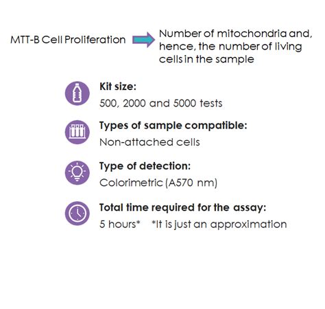 Kf Mtt Cell Proliferation Assay Kit Bqc Bioquochem