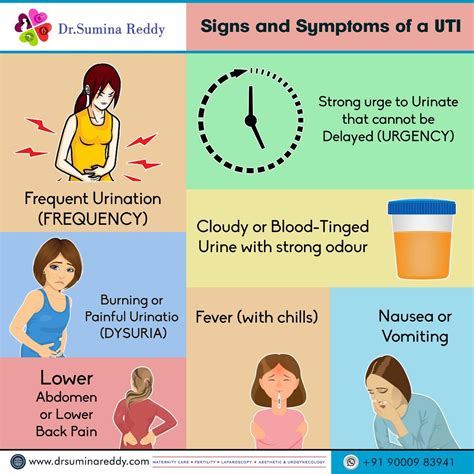 Pregnancy Symptoms Urine Infection Pregnancy Sympthom