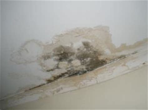 Whenever water enters your bedroom, clean and dry the area immediately. Mould Mold Mildew Removal Cleaning, Melbourne