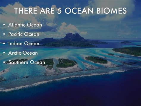 Ocean Biome By Leakdanielle